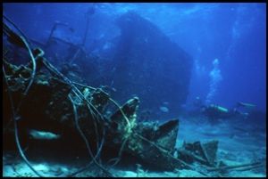 Wrecked Cargo boat, Redang Island, Malaysia. Sea & Sea MM... by Andy Heath 